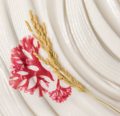 Tatcha The Rice Wash - KB