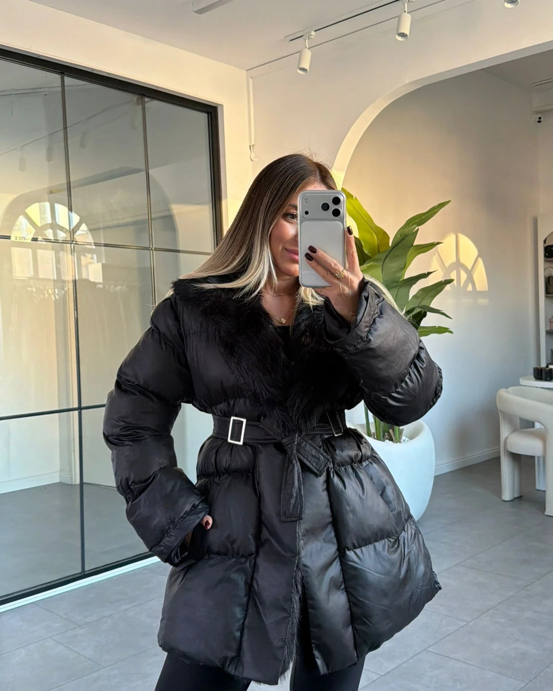 كبوت بحزام اسود - KP7128