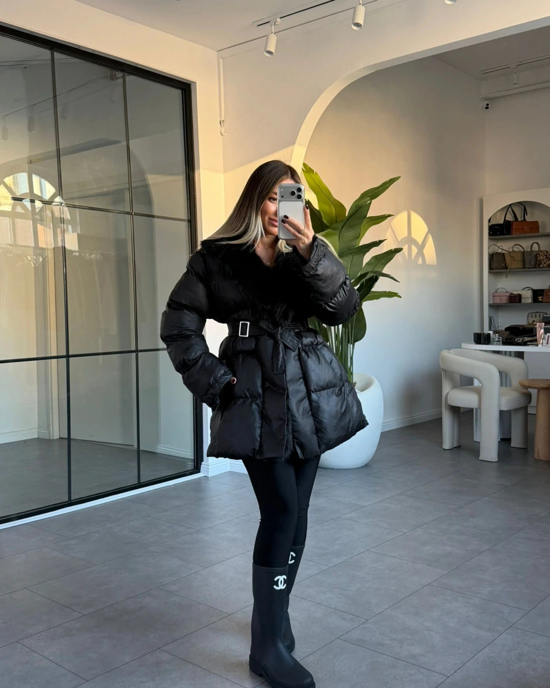 كبوت بحزام اسود - KP7128