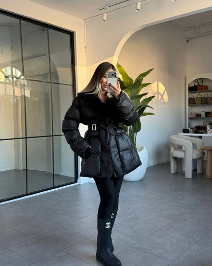 كبوت بحزام اسود - KP7128