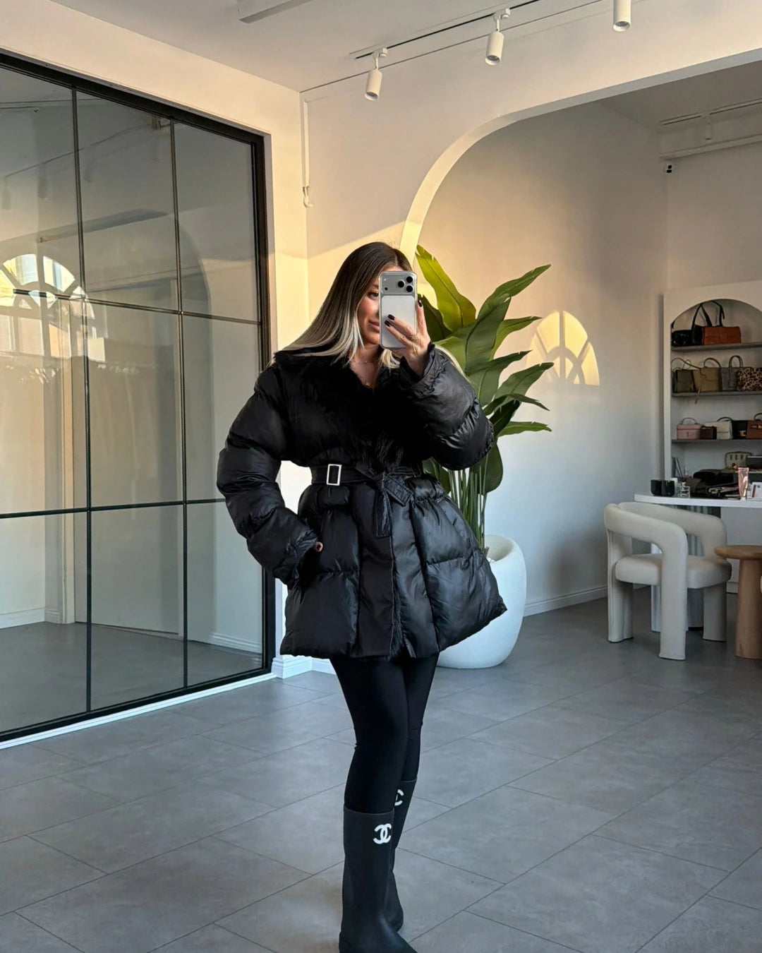 كبوت بحزام اسود - KP7128