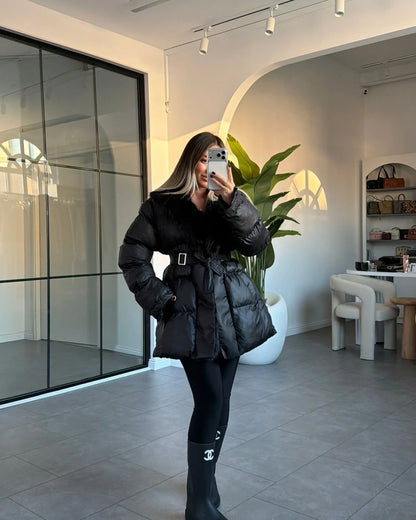 كبوت بحزام اسود - KP7128