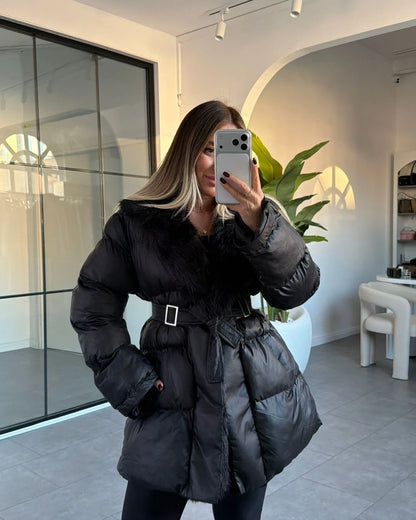 كبوت بحزام اسود - KP7128